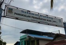 Belanja ke Pasar Ikan Hamadi Jayapura Papua Belanja ke Pasar Ikan Hamadi Jayapura Papua