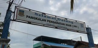 Belanja ke Pasar Ikan Hamadi Jayapura Papua Belanja ke Pasar Ikan Hamadi Jayapura Papua
